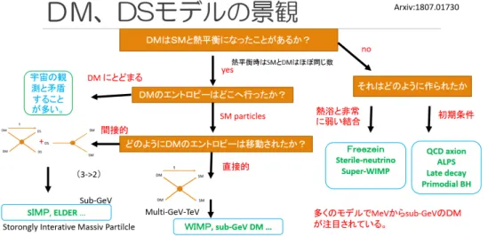 図 2.7 に示すように、ダークマターの残存量の説明に関しては、宇宙初期の熱平衡を仮 定するシナリオと、それを仮定せず初期条件として考えるシナリオに大きく分けることが できる。熱平衡を仮定する理論は、また、ダークマターの持つエントロピーをどのように 標準理論の粒子 (SM) に移すかで、大きく２つに分けることができる。一つは WIMP で、 その場合には DM から SM への変換は 2 × 2 の散乱である消滅過程 χ χ¯ → f f ¯ 散乱を通じ て行われる。一方、図に示した SIMP と呼ぶシナリ
