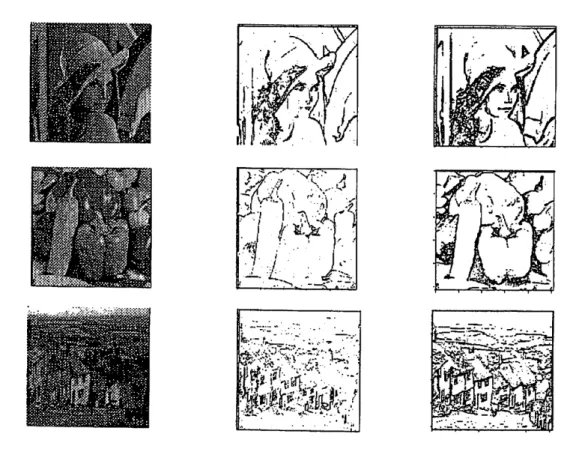 Figure 6 The edge detector is used to other images