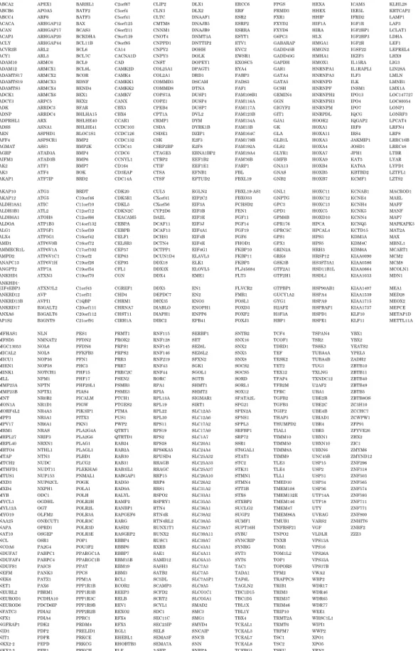 表 2 GESA データベースによるプロモーターに E-BOX 配列を持つ遺伝子の検索