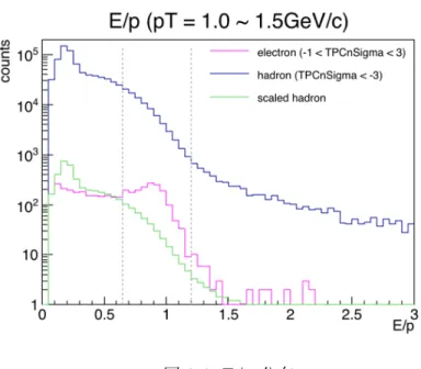 図 3.4: E/p 分布