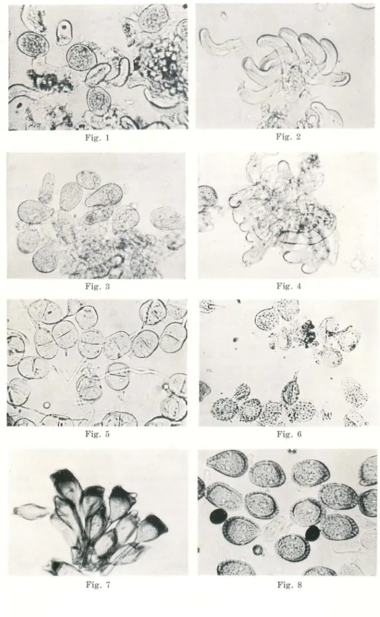 Fig. 1 :'J '.J' .~h. Fig. 2 Fig. 4( C Fig. 3 Fig. 6 Fig. 7