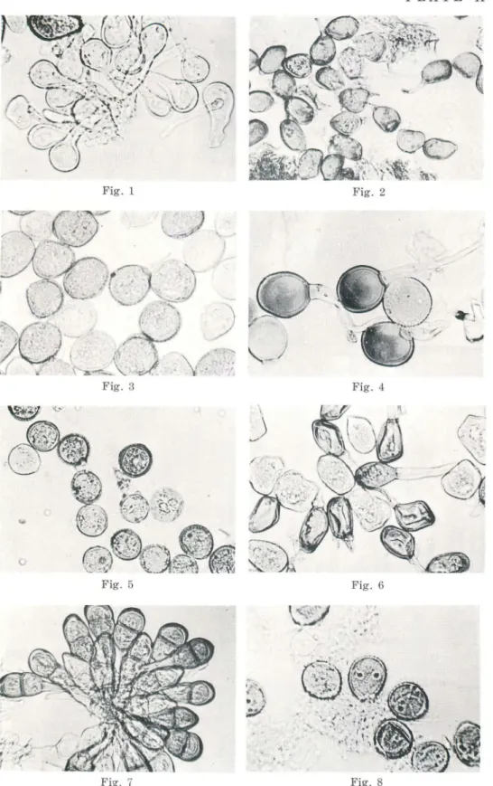 Fig. 1 Fig. 2 ,_.,:...,;P) " '-.,-) Fig. 3 Fig. 4 "\) ./ Fig. 5 Fig. 6 Fig. 7 - .
