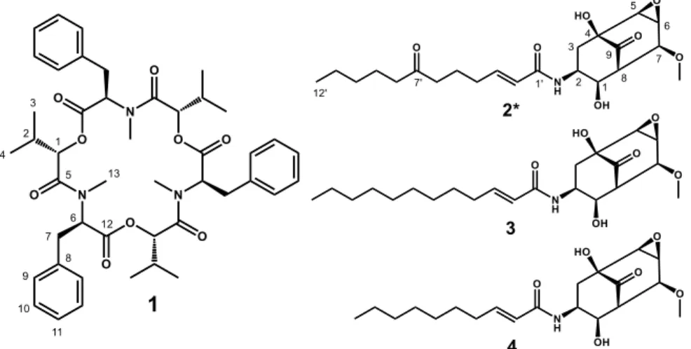 Figure 1. The structures of isolated compounds (1–4) from EtOAc extract of the culture medium of Isaria sp