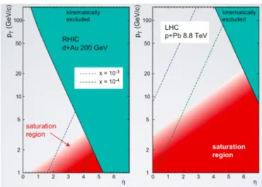 図 2.3.2 RHIC と LHC での測定可能な x の領域の比較  