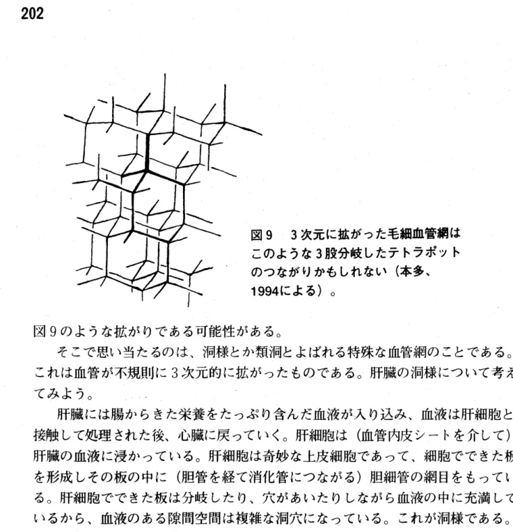 図 9 のような拡がりである可能性がある。 そこで思い当たるのは、 洞様とか類洞とよばれる特殊な血管網のことである。 これは血管が不規則に 3 次元的に拡がったものである。肝臓の洞様について考え てみよう。 肝臓には腸からきた栄養をたっぷり含んだ血液が入り込み、 血液は肝細胞と 接触して処理された後、 心臓に戻っていく。 肝細胞は ( 血管内皮シートを介して ) 肝臓の血液に浸かっている。 肝細胞は奇妙な上皮細胞であって、 細胞でできた板 を形成しその板の中に ( 胆管を経て消化管につながる ) 胆細管の網