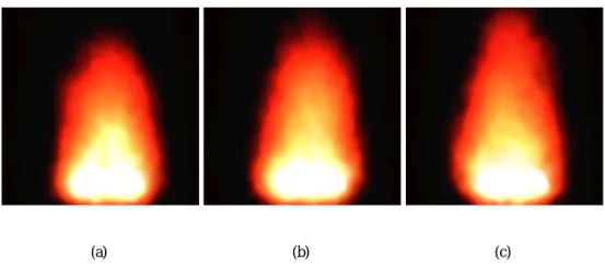 図 3.7: 安定状態の火炎のシミュレーション結果