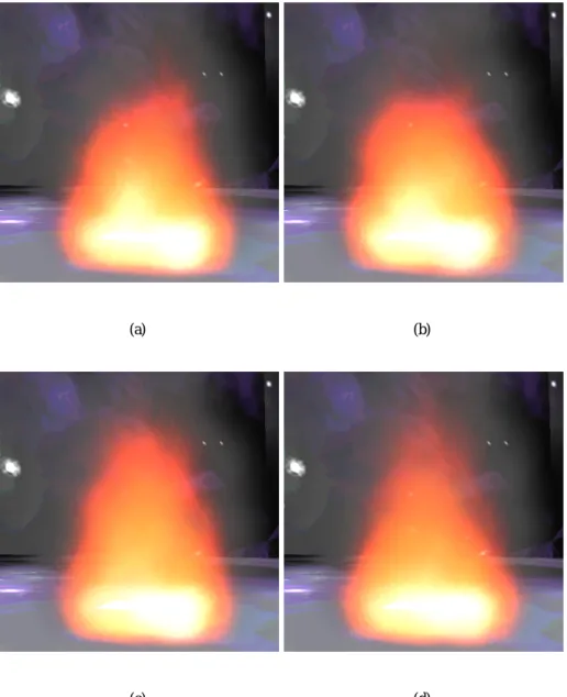 図 4.10: 粒子ベース火炎レンダリングに背景を付加したレンダリング例
