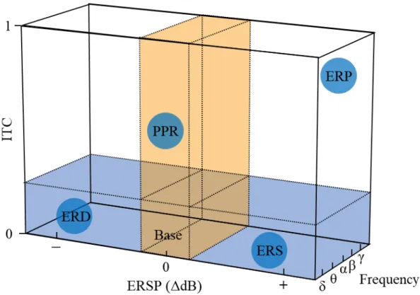 Figure 1-5.  事象関連ダイナミクスの概念図     Makeig et al., (2004)  をもとに作成。