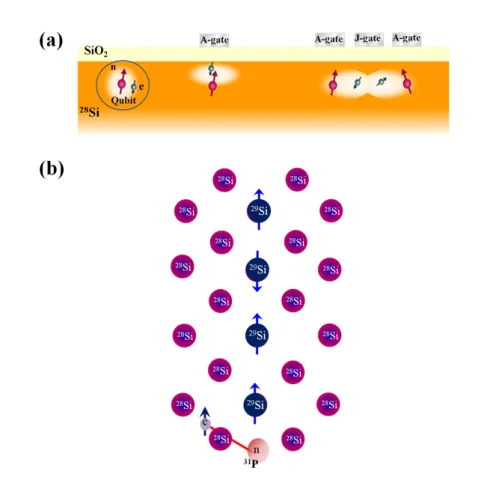 Figure 1.2: Quantum computer model - (a) Kanes quantum computer. (b) All silicon quantum computer.