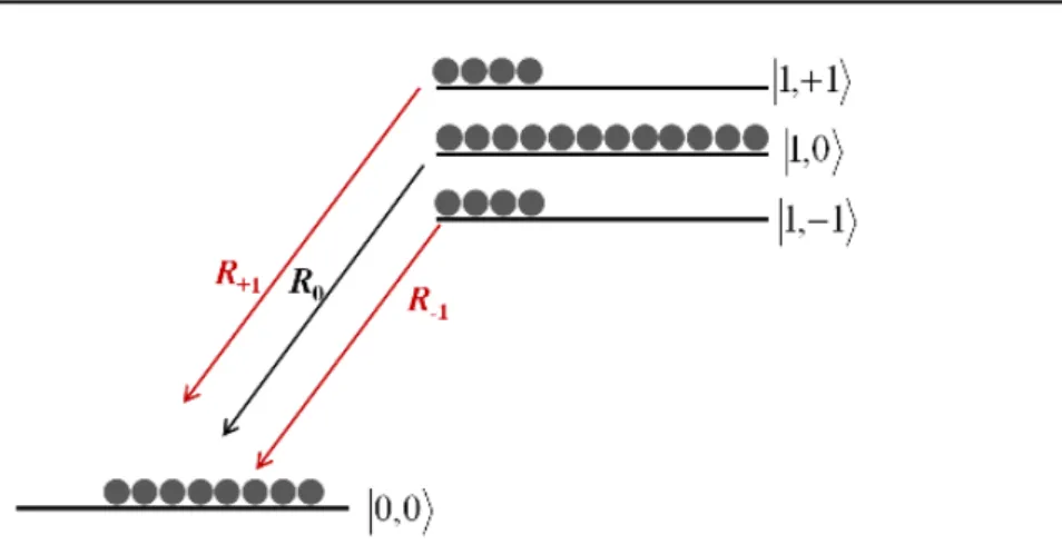 Figure 1.4: Non-equilibrium polarization - Schematic showing the singlet and triplet energy levels in the presence of external magnetic field B parallel to Z-axis of the triplet paramagnetic center