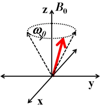 Figure 2.1: Larmor Frequency - Schematic showing the precession of the magnetic moment in the presence of externally applied magnetic field.