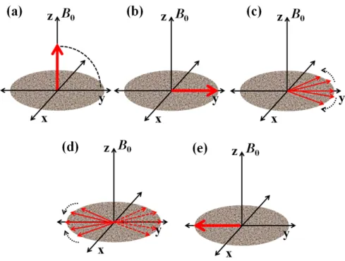 Figure 2.2: Hahn Echo - Schematic showing the spin behavior under the application of Hahn echo pulse sequence