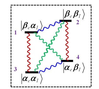 Figure 2.4: Coherences in four level system - Schematic showing the four level system consisting of hyperfine coupled electron spin S = 1/2 and nuclear spin I = 1/2.