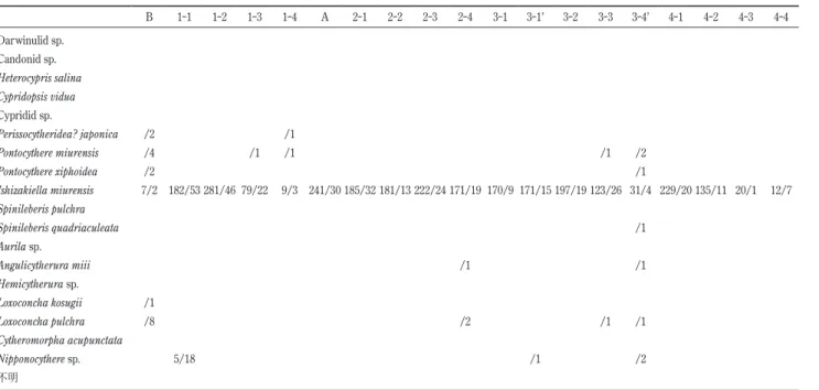 表 8  2012年 9月に多摩川河口干潟で産出した貝形虫種と個体数 B 1-1 1-2 1-3 1-4 A 2-1 2-2 2-3 2-4 3-1 3-1’ 3-2 3-3 3-4’ 4-1 4-2 4-3 4-4 Darwinulid sp