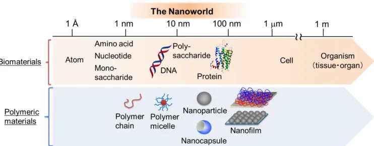 Fig.  1.1  The  length-scale  of  biomaterials  and  polymeric  materials  in  the  hierarchical  nanoworld