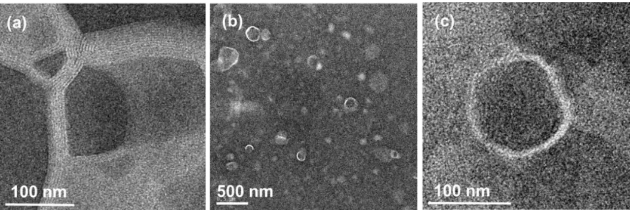 Fig. 2.15 TEM images of liposomes prepared by an extrusion process.    A multi-layered  vesicle (MLV) (a) was changed into spherical and unilamellar structures ((b) and (c)) by  membrane extrusion