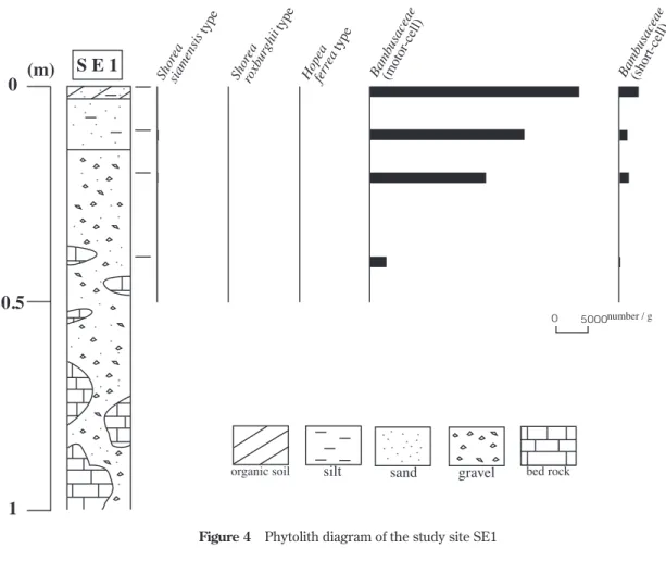 Figure 4 Phytolith diagram of the study site SE1