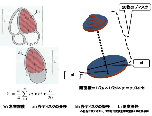 図  １５  biplane method of disks summation (modified Simpson’s rule） 