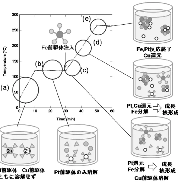 図 3-16 FePtCu ナノ粒子合成反応時の系の概念図 