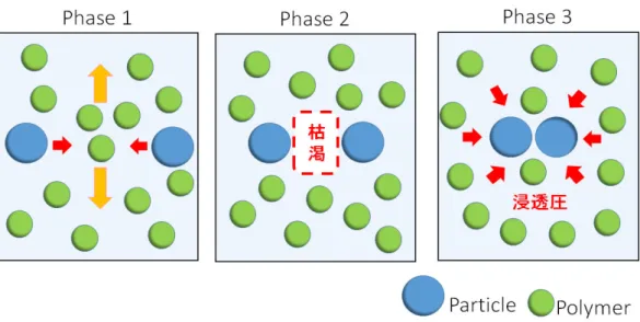 図 1.4    Model of depletion agglomeration. 