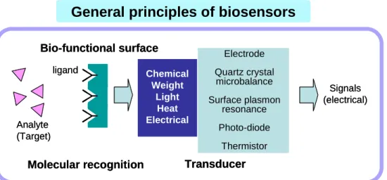 Figure 1.1    General principles of a biosensor showing the molecular recognition surface and the transducer