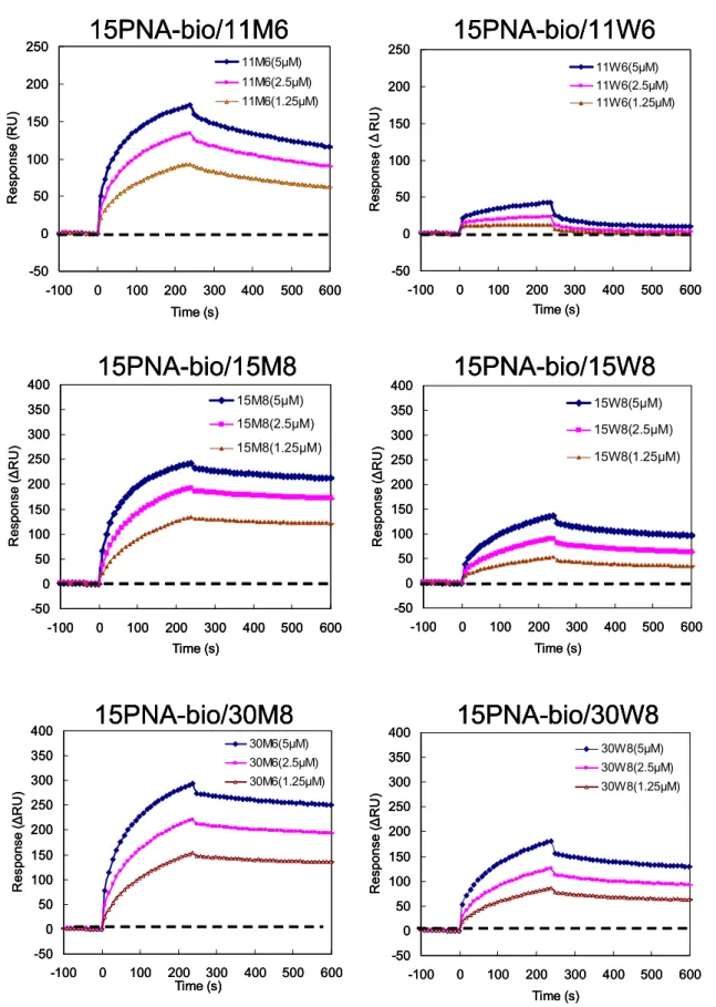 Figure 2.22      Sensorgrams of 11, 15-mer DNA analytes at concentrations of 1.25, 2.5 and 5 µM interacting with a PNA ligand immobilized surface at 40  ℃ 