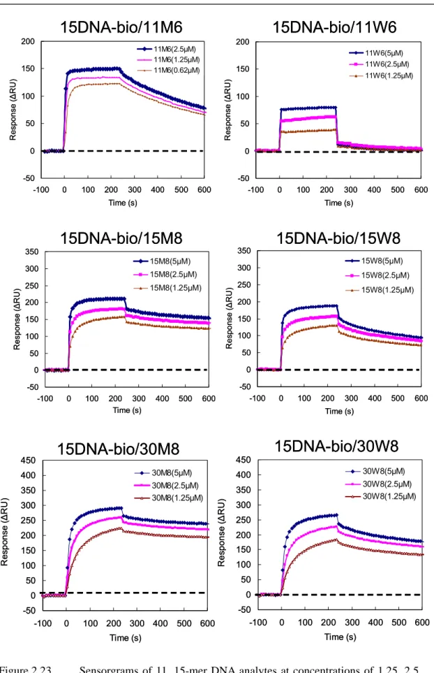 Figure 2.23      Sensorgrams of 11, 15-mer DNA analytes at concentrations of 1.25, 2.5 and 5 µM interacting with a DNA ligand immobilized surface at 40  ℃ 