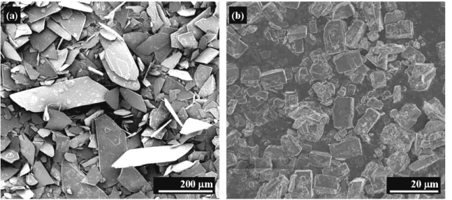図 2.4  DCPD 粉末（a）および DCP 粉末（b）の SEM 画像． 