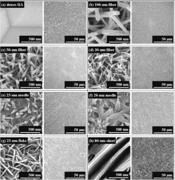 図 2.7  作製した HA の SEM 画像．(a)：市販の HA 粉末をプレス成形・焼成． (b)～(f) ：DCP