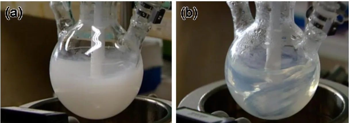 Fig. 3-6. Photographs of the aging suspension using Bi 3+  solution and aged at 85 °C for  (a) 0 and (b) 25 min