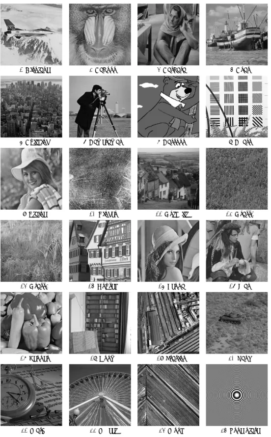 図 2.1 画像拡大のシミュレーションに用いた画像．画像サイズは 512 × 512 ．