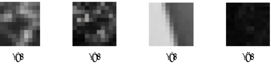 図 3.3 EDS フィルタの適用結果の拡大図． (a) 原画像領域１， (b)EDS フィルタを領 域１に適用した結果， (c) 原画像領域２， (d)EDS フィルタを領域２に適用した結果． いという特徴があるため， EDS フィルタを適用した時に高いエネルギーを示す領域は少 ない．図 3.1(b) のラプラシアンフィルタを適用した例と比べると，滑らかに連なるエッ ジ領域において，より低いエネルギーを示していることが分かる．図 3.3 は EDS フィル タの適用結果の拡大図である．エッジの滑らかさが少