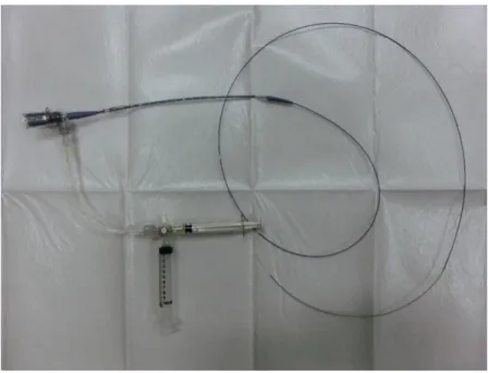 図 5：本実験で用いた IVUS システム 