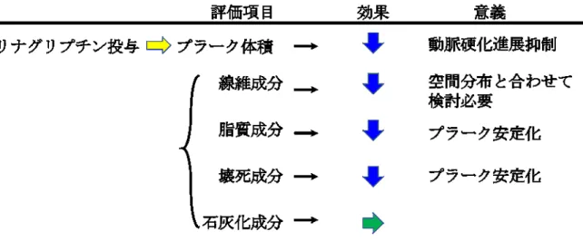 図 12：リナグリプチンによるプラーク量および性状変化 