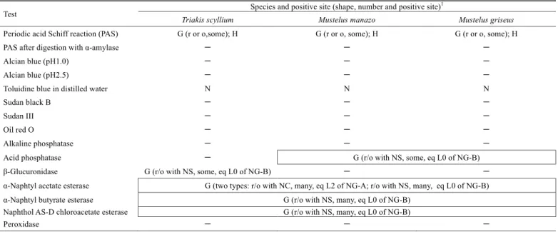 Table 2. Summary of multiple Romanowsky-type stain characteristics of L1 of NG-A  from Triakidae sharks neutrophils 