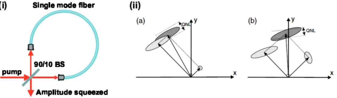 Fig. 1.8: A schematic explanation of the splitting ratio dependence of the noise power at the unbalanced Sagnac interferometer output: (ii)(a) for a beam splitting ratio with a large asymmetry the Kerr squeezed state is reorientated to yield amplitude sque