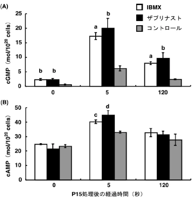 図 2-8    [cGMP] i および[cAMP] i 変化に対するPDE阻害剤の影響  3 µM IBMX（□） 、30 µMザプリナスト（■）を含む人工海水、またはそのどち らも含まない人工海水（■）に精子を懸濁し、 1 µM P15 で処理した際の[cGMP] （A） i または[cAMP] i （B）変化を測定した。「時間 0 秒」は精子懸濁液にP15 を添加する 直前の値をとった。3 回（A）または 2 回（B）の独立した実験の平均値±標準偏 差を示し、 コントロールと有意な差を示した点に印を
