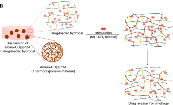 Figure 1 (A) Experimental setup for light-responsive drug release test. (B) Schematic  presentation of drug release via hydrogel degradation under NIR irradiation