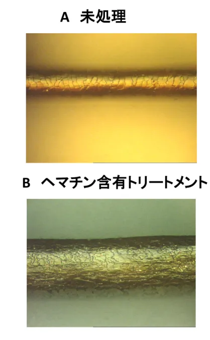 Figure 5-1.  毛髪の表面観察