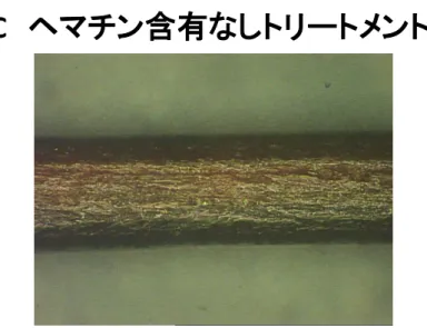 Figure 5-2.  毛髪の表面観察