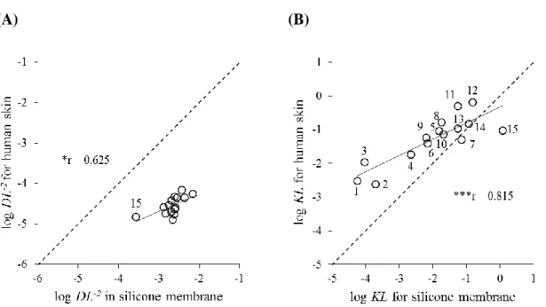 Fig. 4. Relationships between log DL −2  (A) and those between log KL (B) in human  skin and the silicone membrane