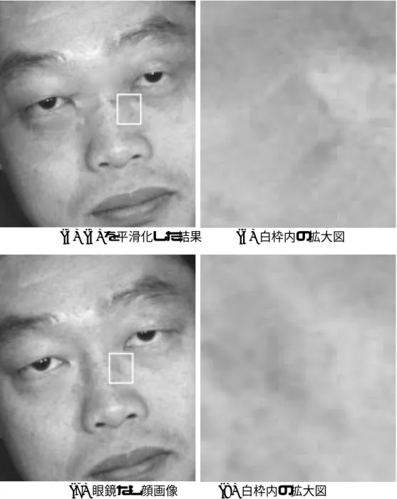 図 4.19: 輝度値の置換結果（続き）