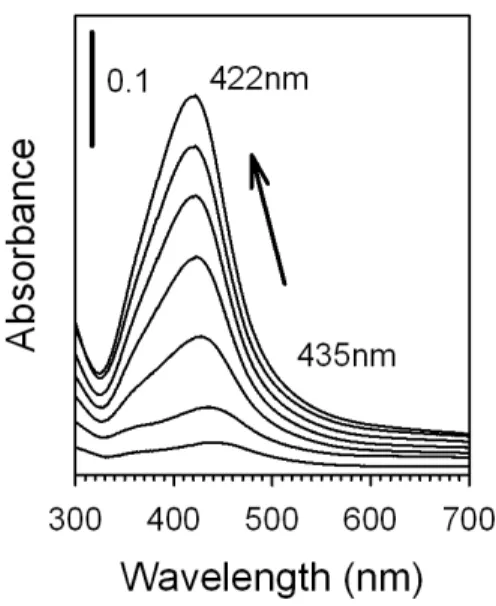 Figure 2. UV-Visible spectra following the formation of Ag NPs during the course of the  reaction