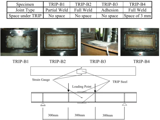 Table 2: Overview of Specimens 