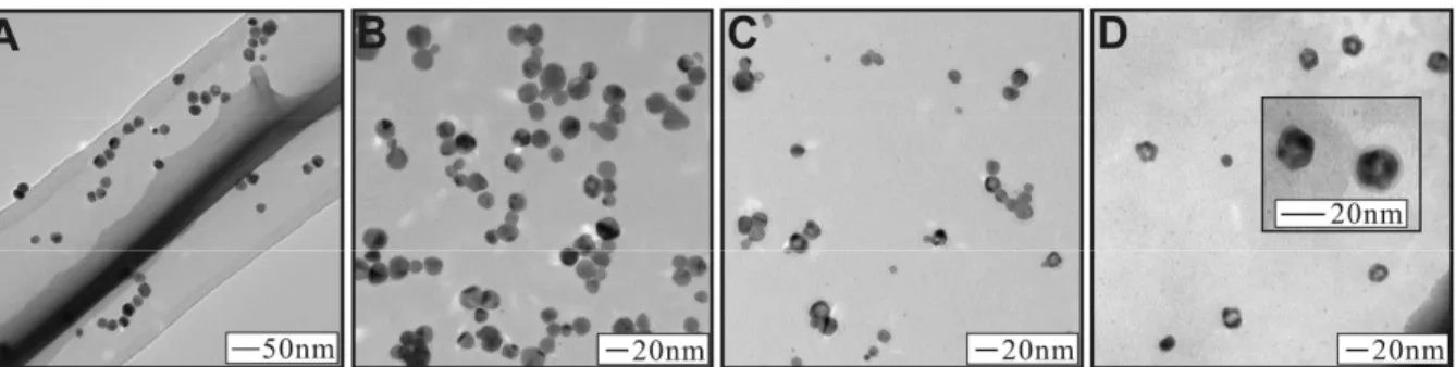 Figure 1. TEM images for as-synthesized Ag NPs (A), and Ag@Au NPs with atomic feeding  ratio of: 5% Au (B), 15% Au (C), and 25% Au (D)