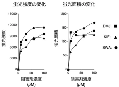 図   8.  既 知   GM  阻 害 剤 に よ る 濃 度 依 存 的 な 細 胞 内 HM 型 糖 鎖 の 増 加 そ の 結 果 、 蛍 光 ア ッ セ イ 系 は 、 既 知 阻 害 剤   3  化 合 物 を そ れ ぞ れ   0,  10, 30, 60, 100 µM  投 与 し た 細 胞 に お い て 、 阻 害 剤 の 濃 度 依 存 的 な 蛍 光 強 度 ・ 蛍 光 面 積 の 増 加 を 観 察 で き た 。 こ の 結 果 よ り 、 構 築 し た 蛍 光 ア 
