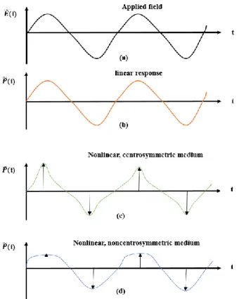 Figure 2.2.2.1. The graphical presentations for linear and nonlinear polarizations with respect to  the applied electric field in various media [3]