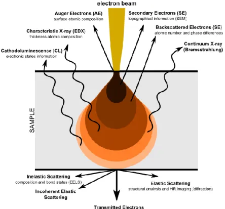 Figure 2.5.2. The different types of signal emitted from the different part of the interaction volume  [10]