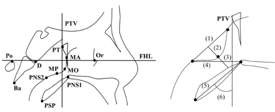 Fig. 4  側面セファロ分析における基準点および計測項目 