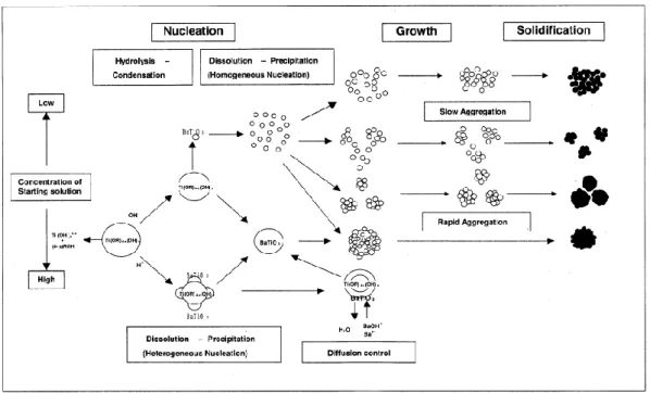Fig. 2-14    Multiple reaction paths for hydrothermal crystallization of BaTiO 3  nanoparticles